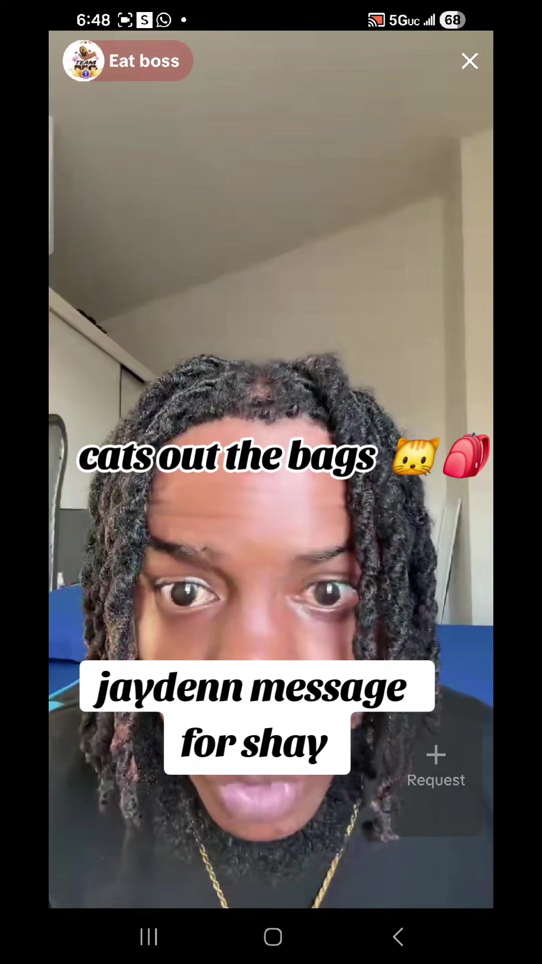 @cats out  the bags 🐱🐱🐱🐱🐱