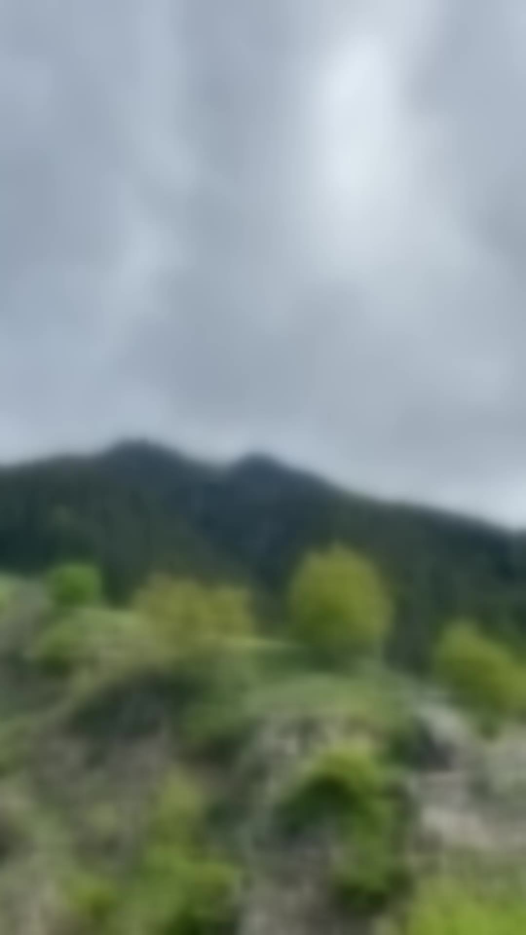 @ohuoan72