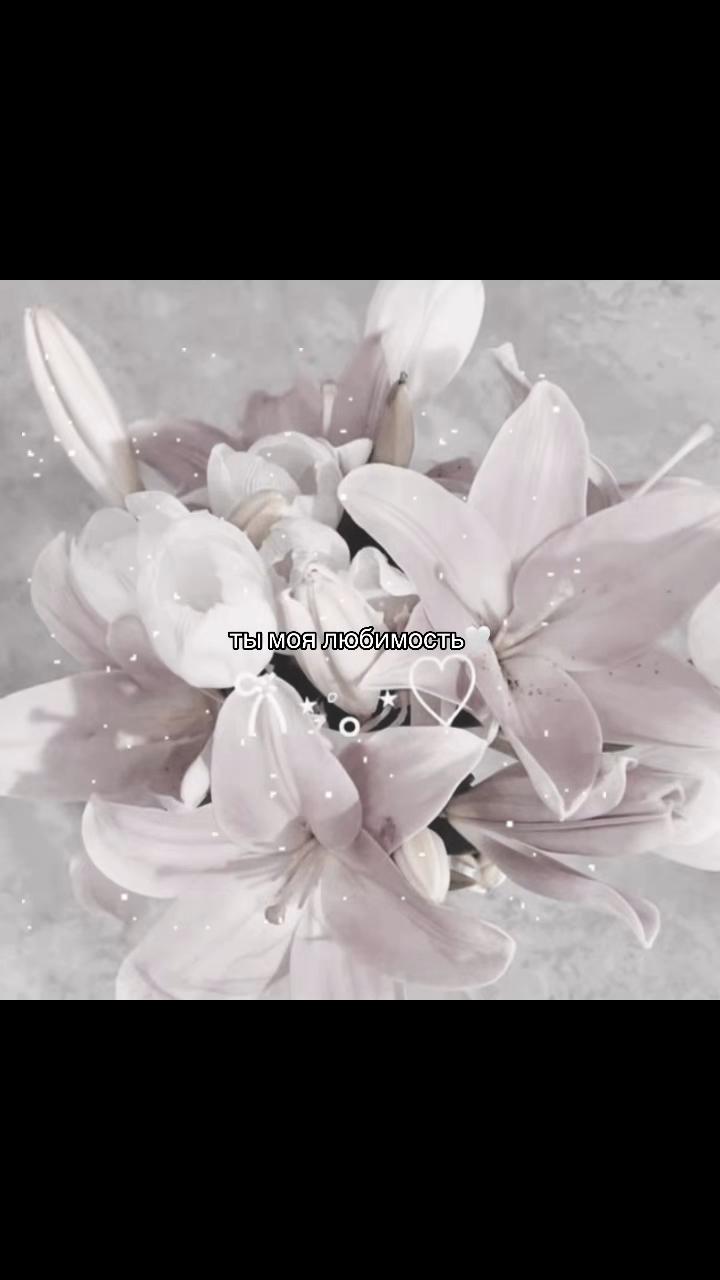 @݁˖𝜗ৎ ᥎ᥲᥒiᥣᥣᥲ‧˚꒰🐾୭ ˚