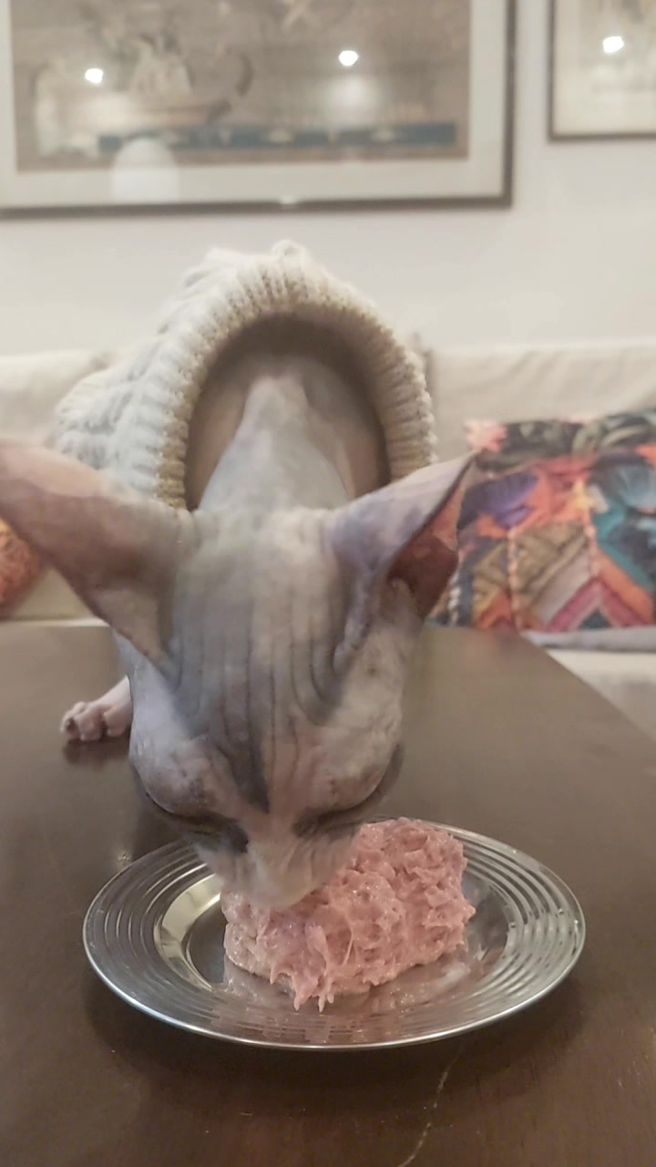 @Maracats Pet Supplies