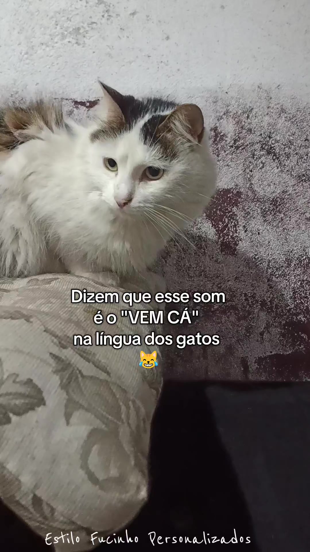 @Estilo Fucinho😻Personalizados