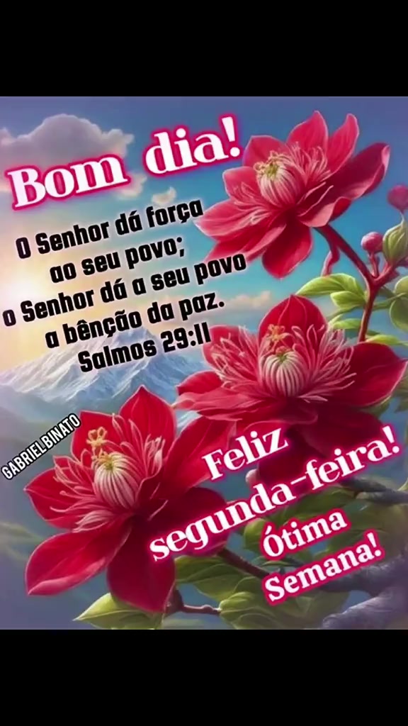 @Opoetabeijaflor