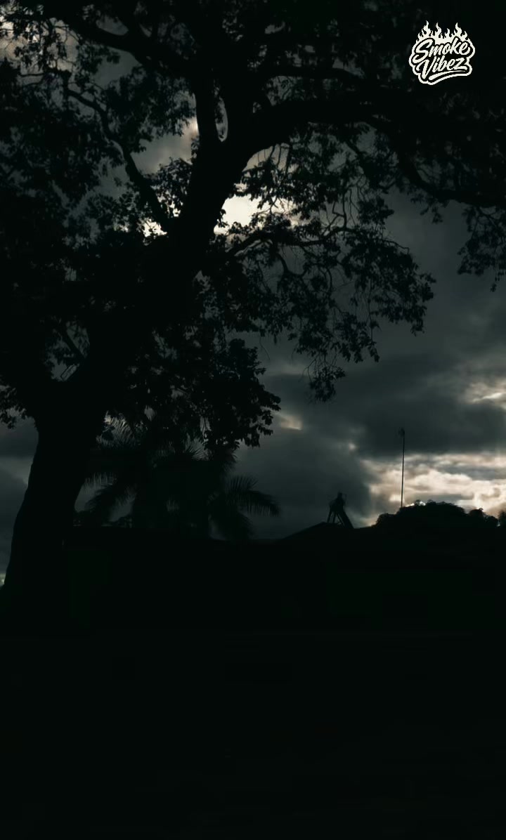 @SmokeVibez
