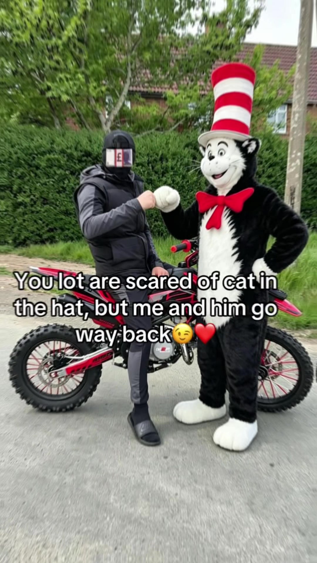 @Meowstardaily