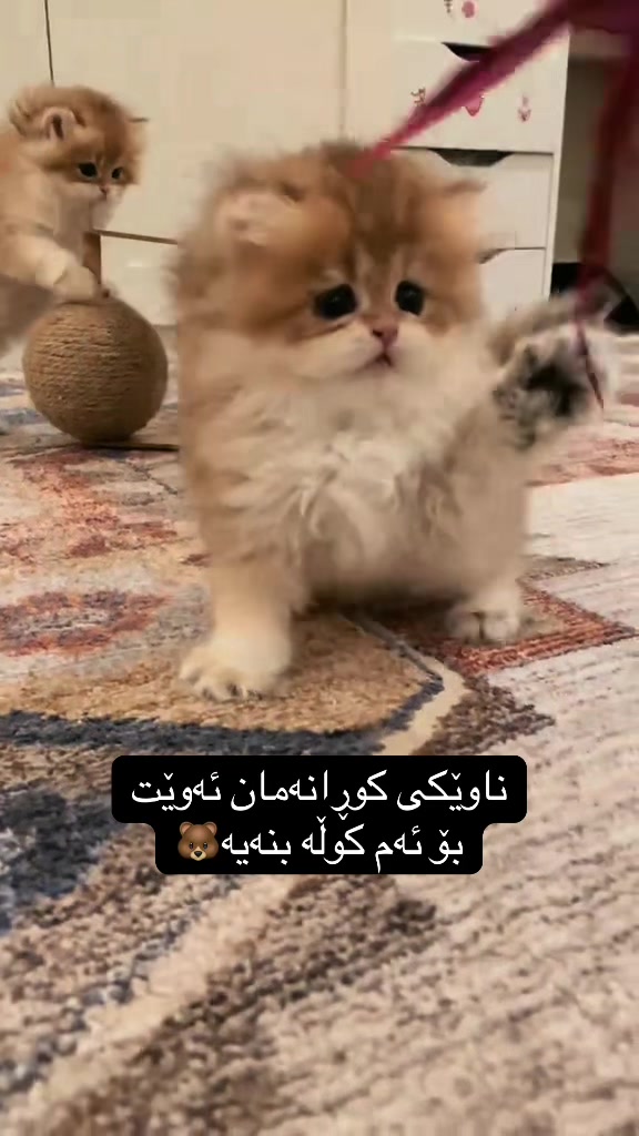 @3pshilaka