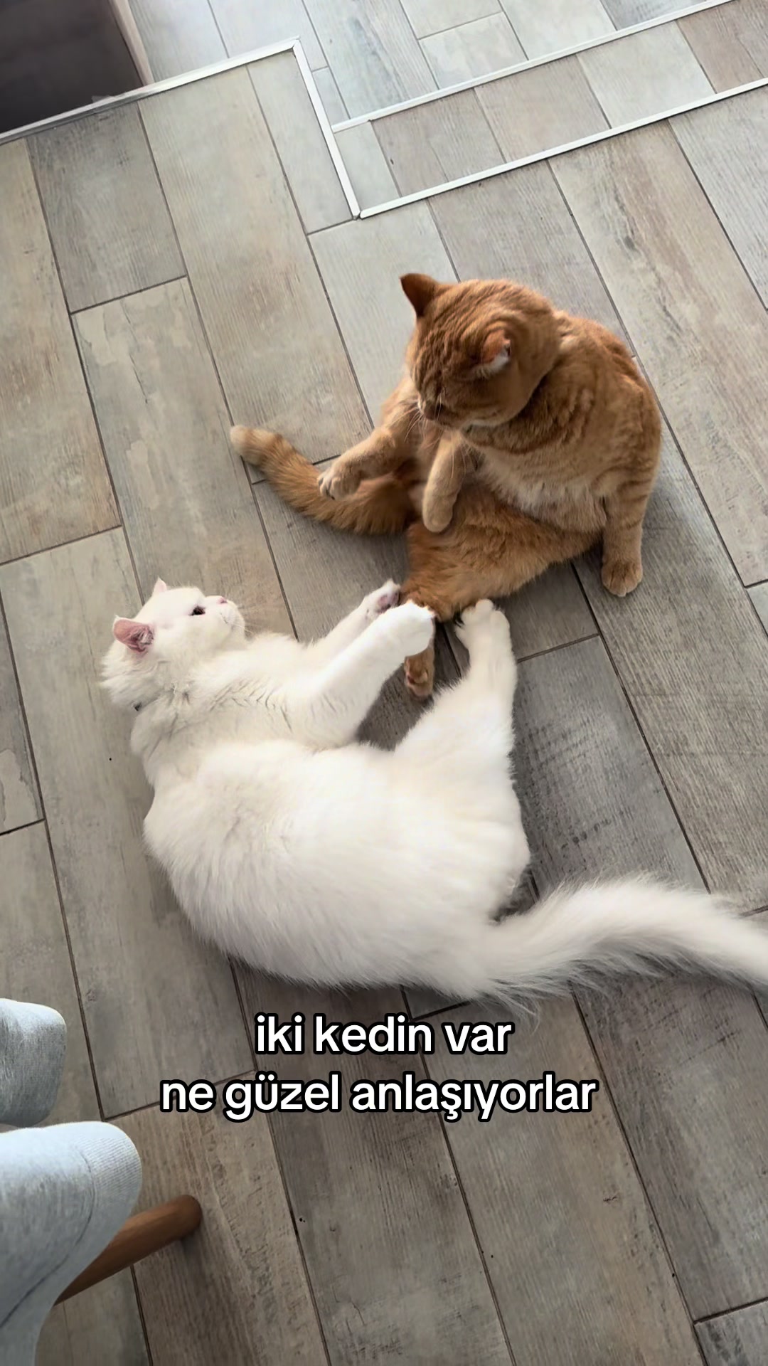 @Asli Sirin
