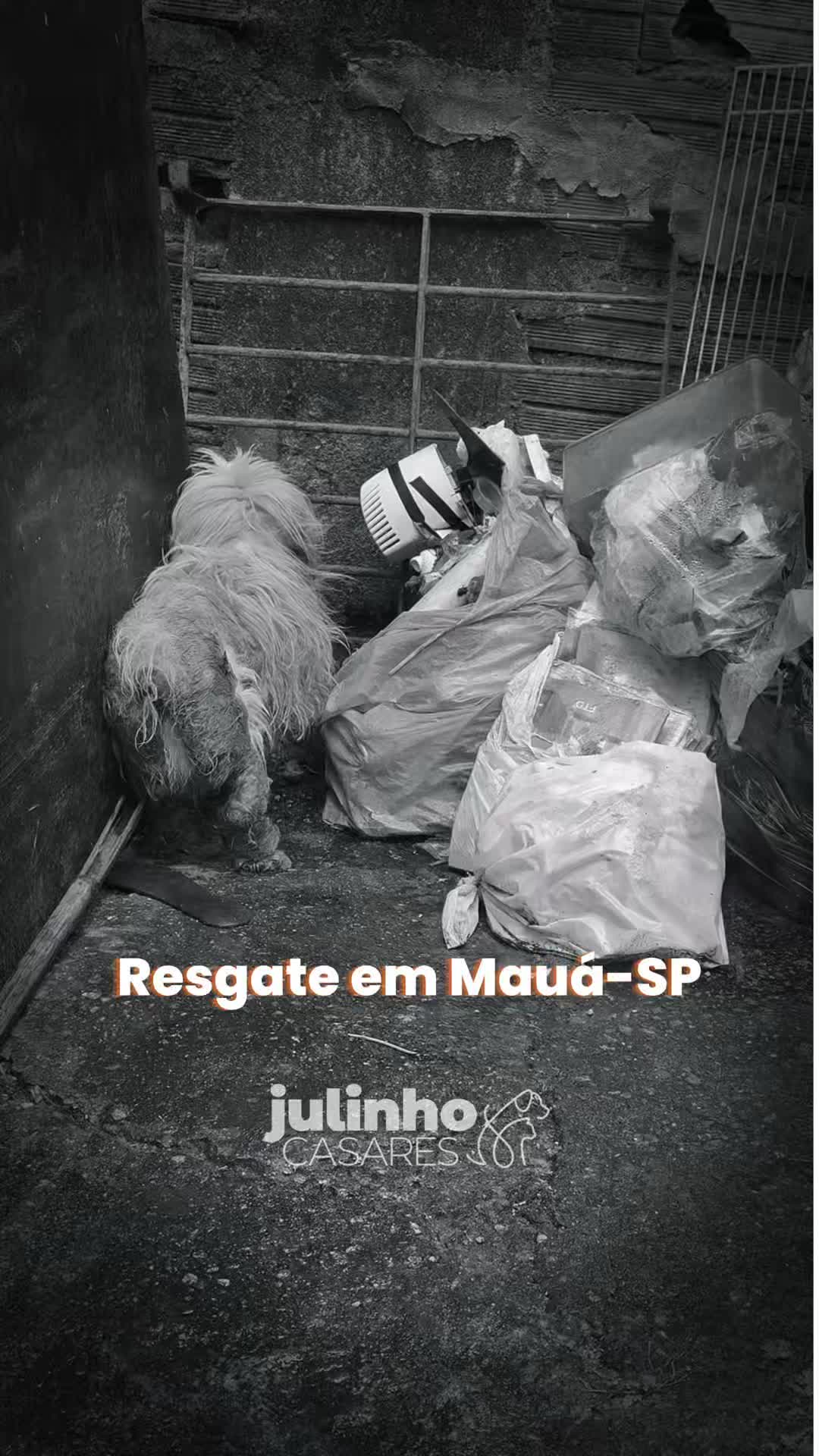 @julinhocasares