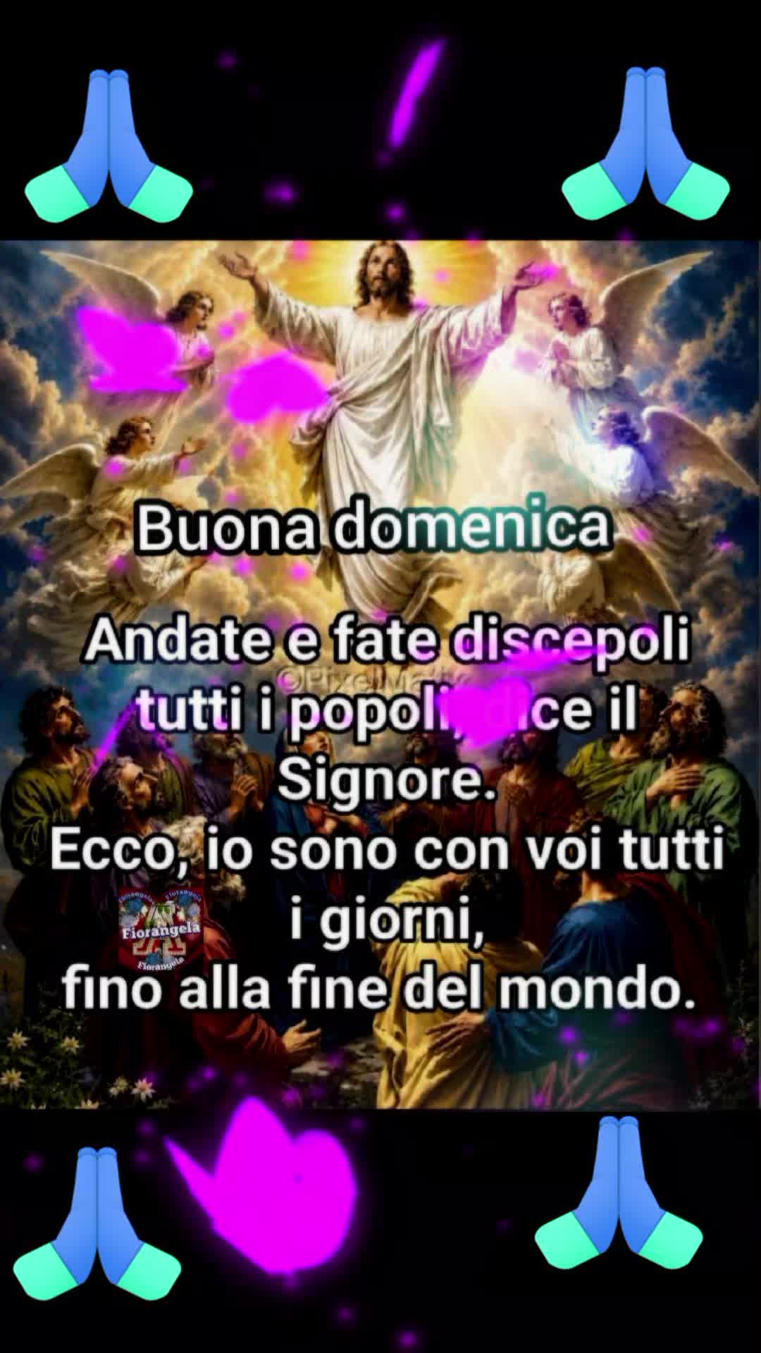 @vitomarabello2