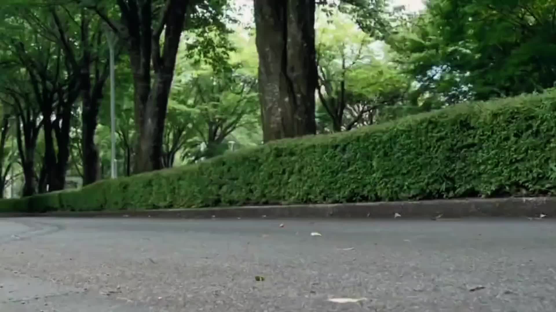 @ミ★ＳＥＫＵＲＩＴＹ ＳＡＴＯＨ★彡
