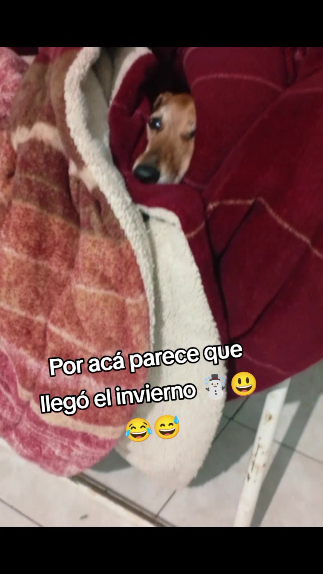 @Vero Gimenez Muriel