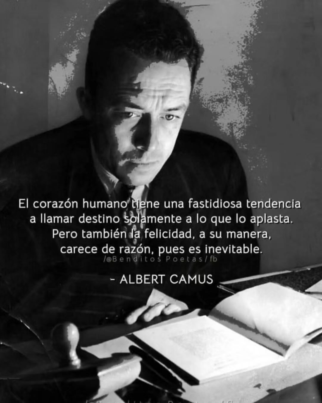 @Raúl Ascencio