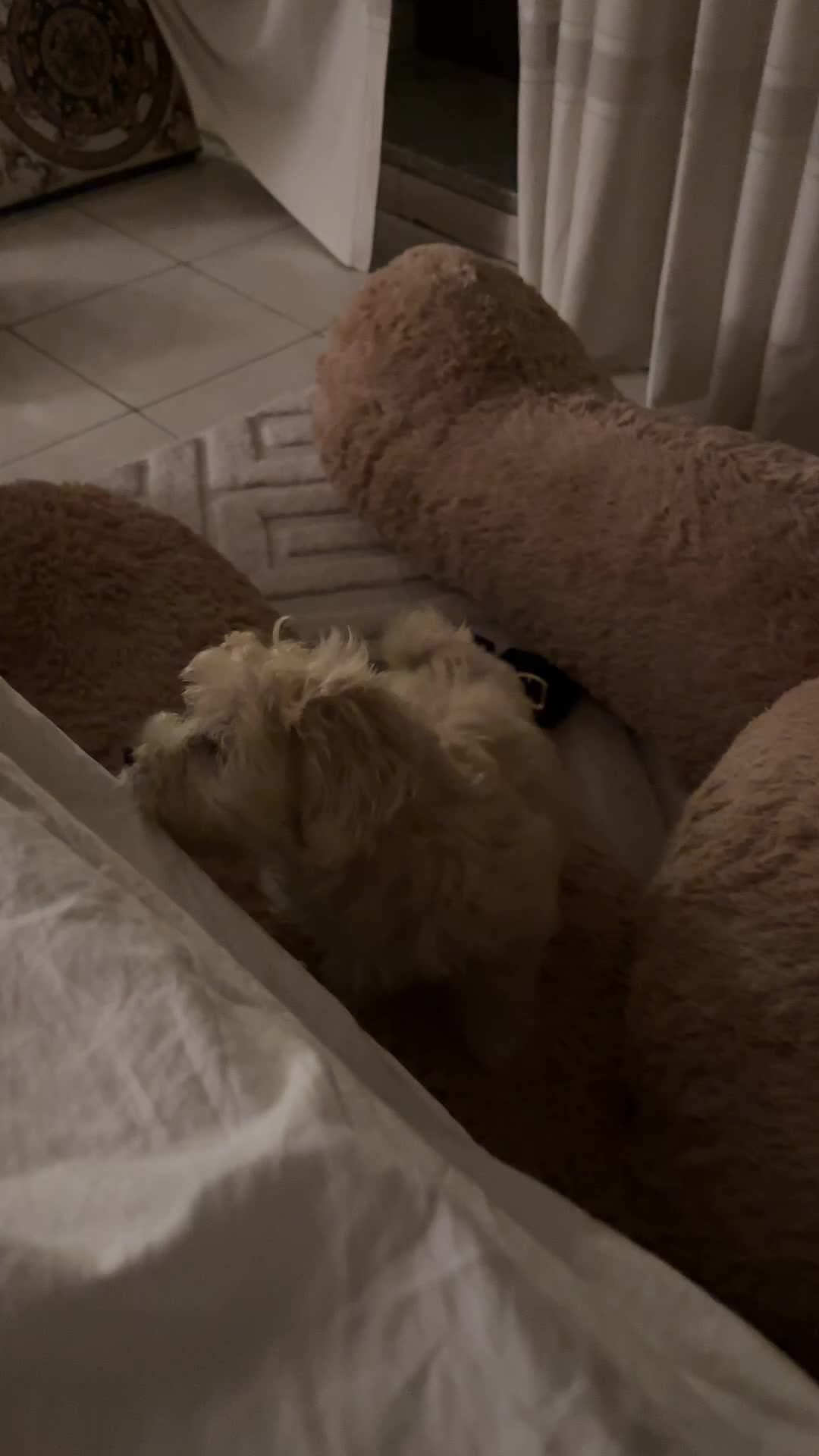@Chiara Stabini
