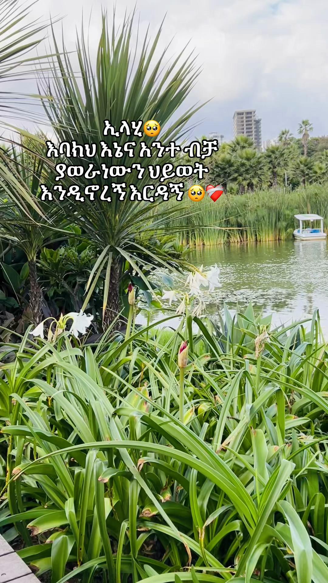 @fufunew1
