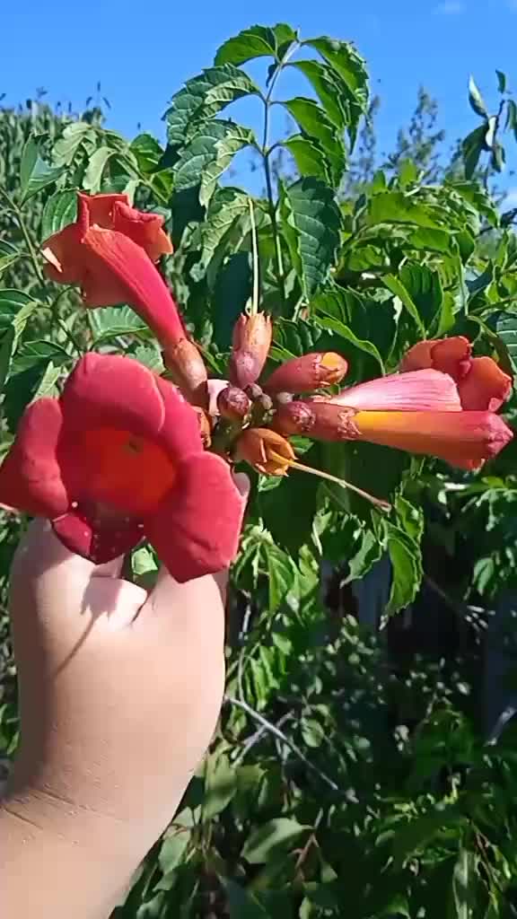 @Mýłķ★Ŵăŷ