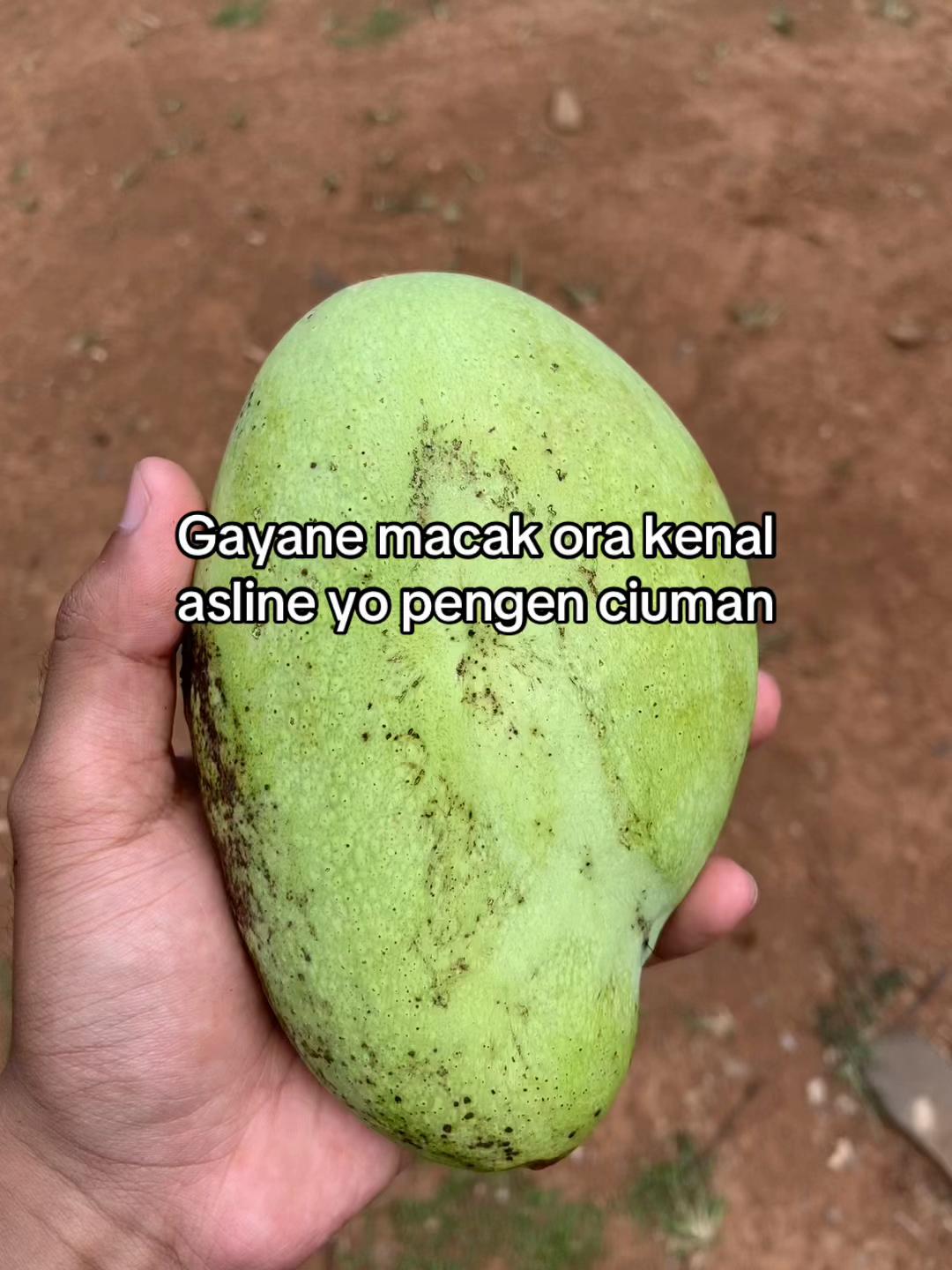 @Wahyuuu