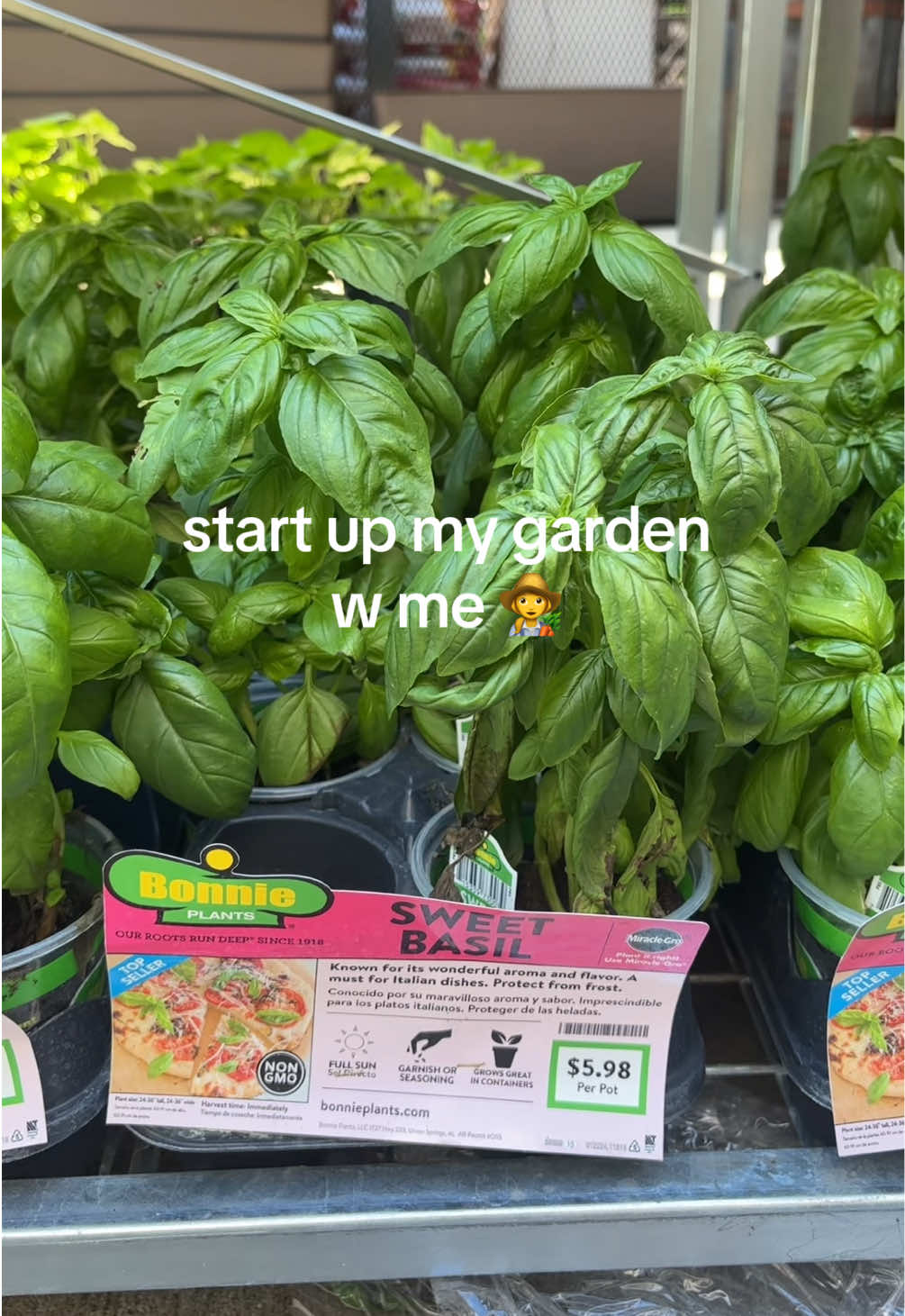 @Dana