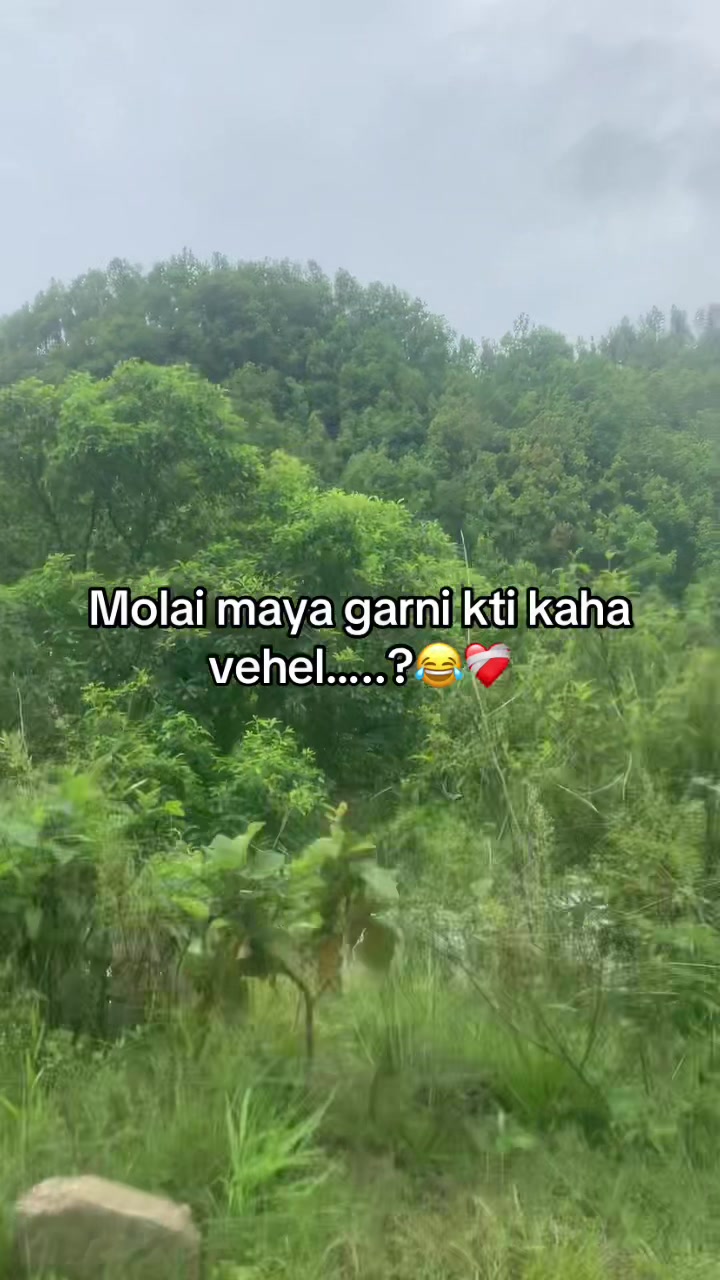 @TMG . VLOG🖤