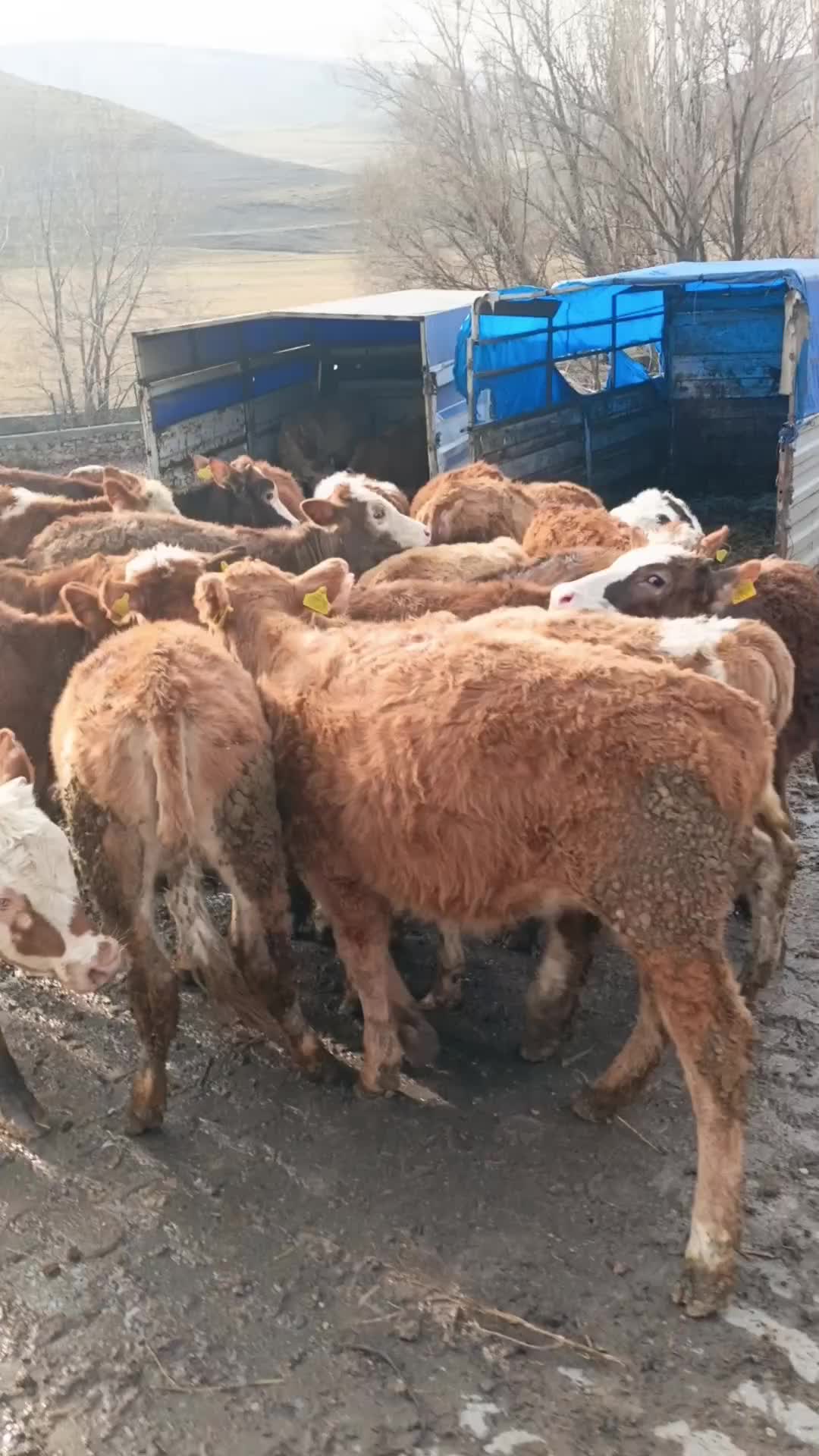 @Emre G&uuml;lmez