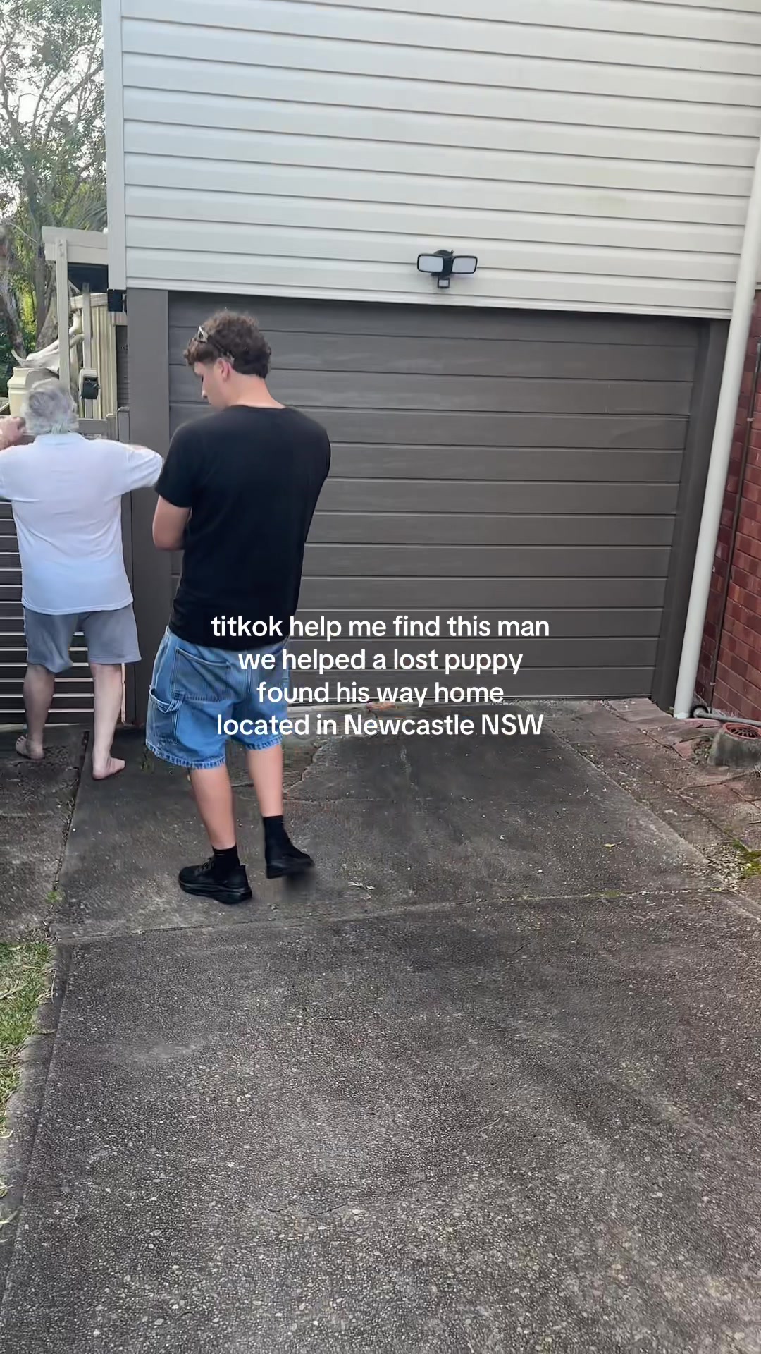 @stev ౨ৎ
