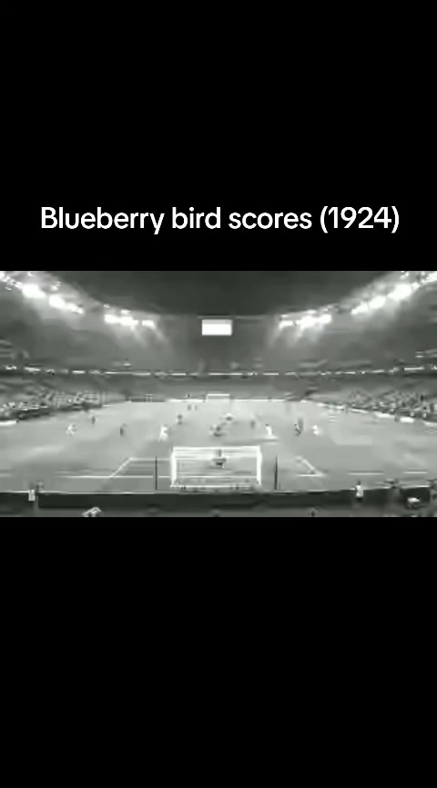 @Blueberry Bird (With Sura aex)
