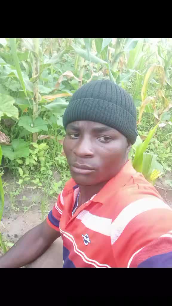 @frank mkoma