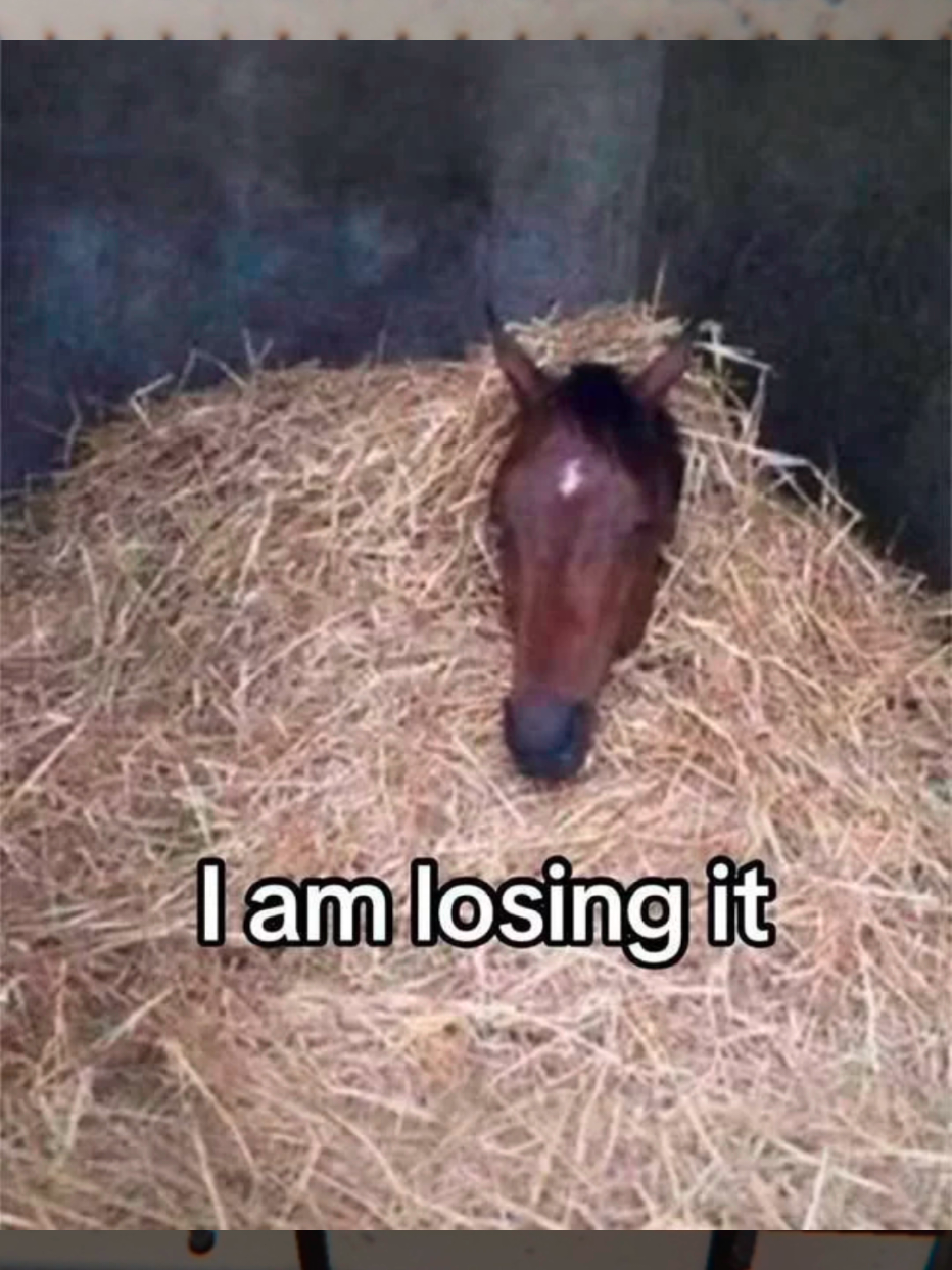 @𝙵𝚢𝚗𝚗 (𝙺𝚒𝚝𝚎𝚜 𝚠𝚒𝚏𝚎)