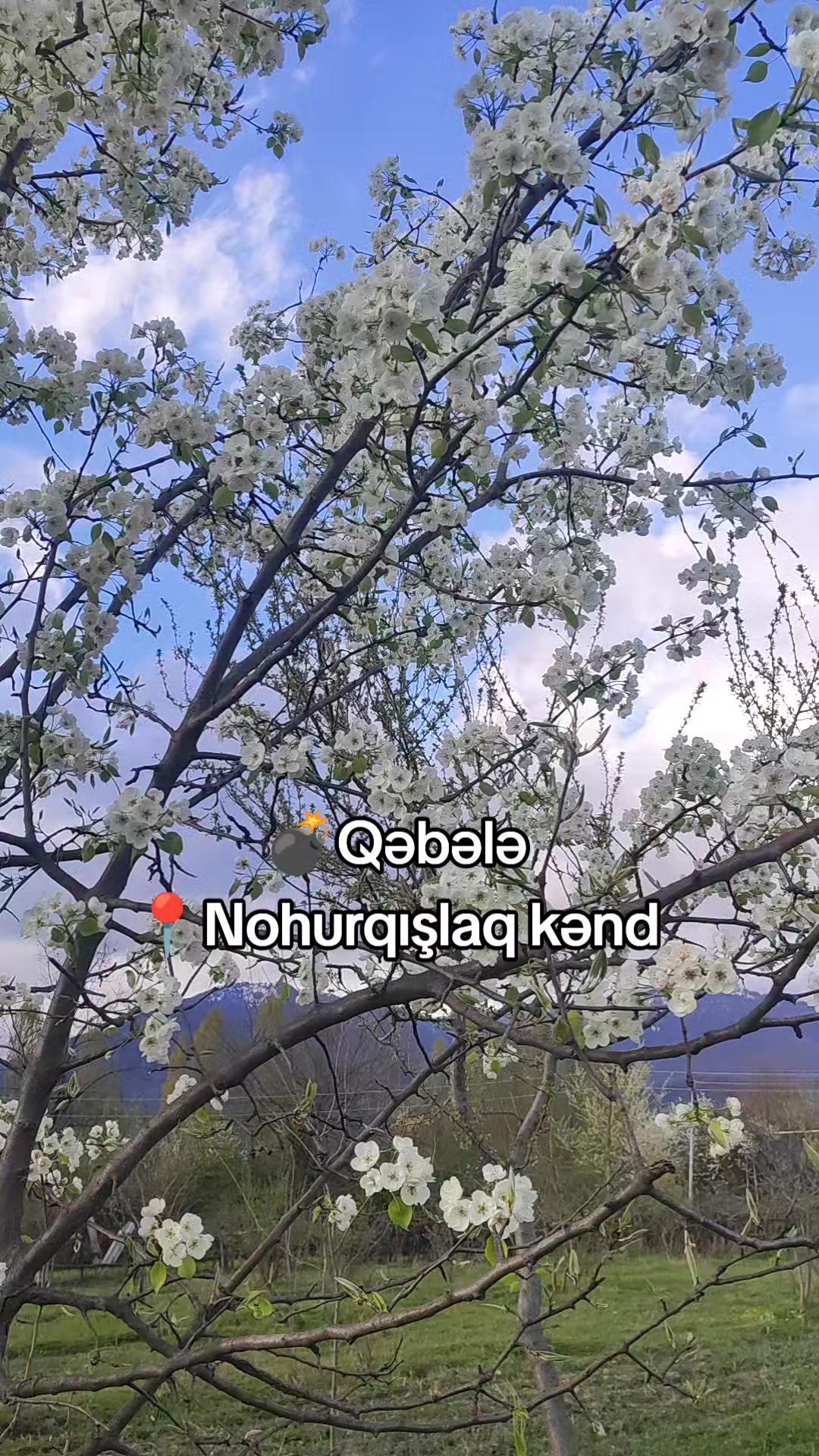 @Qəbələ Əmlak Ruzi