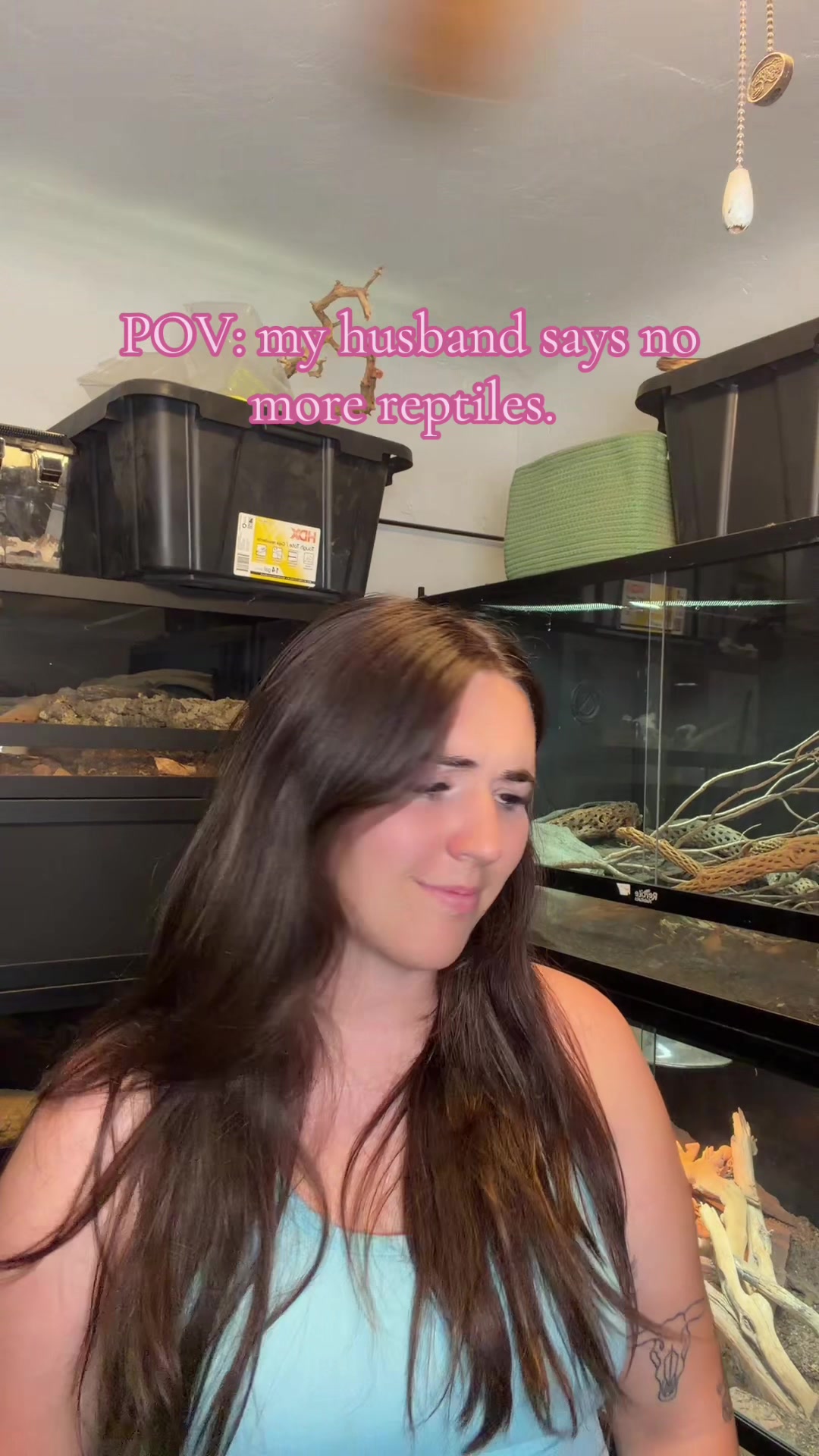 @Katie | my personal zoo 🦎🐰