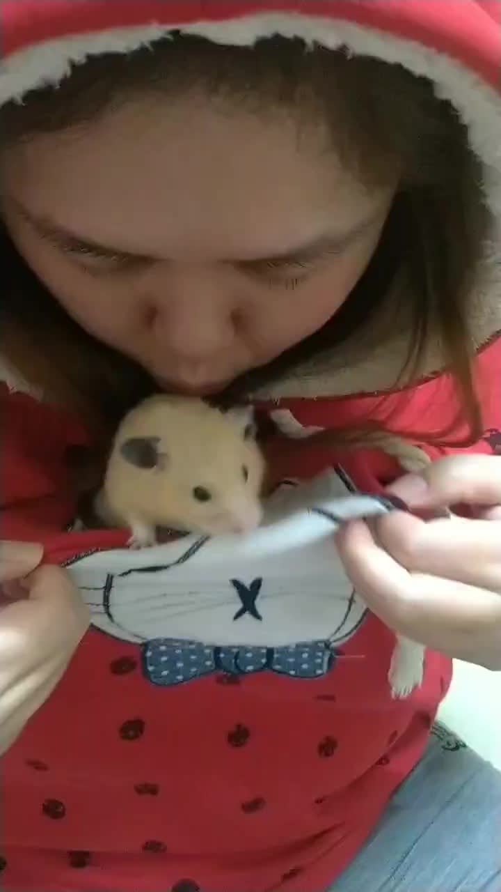 @鼠不盡的精彩