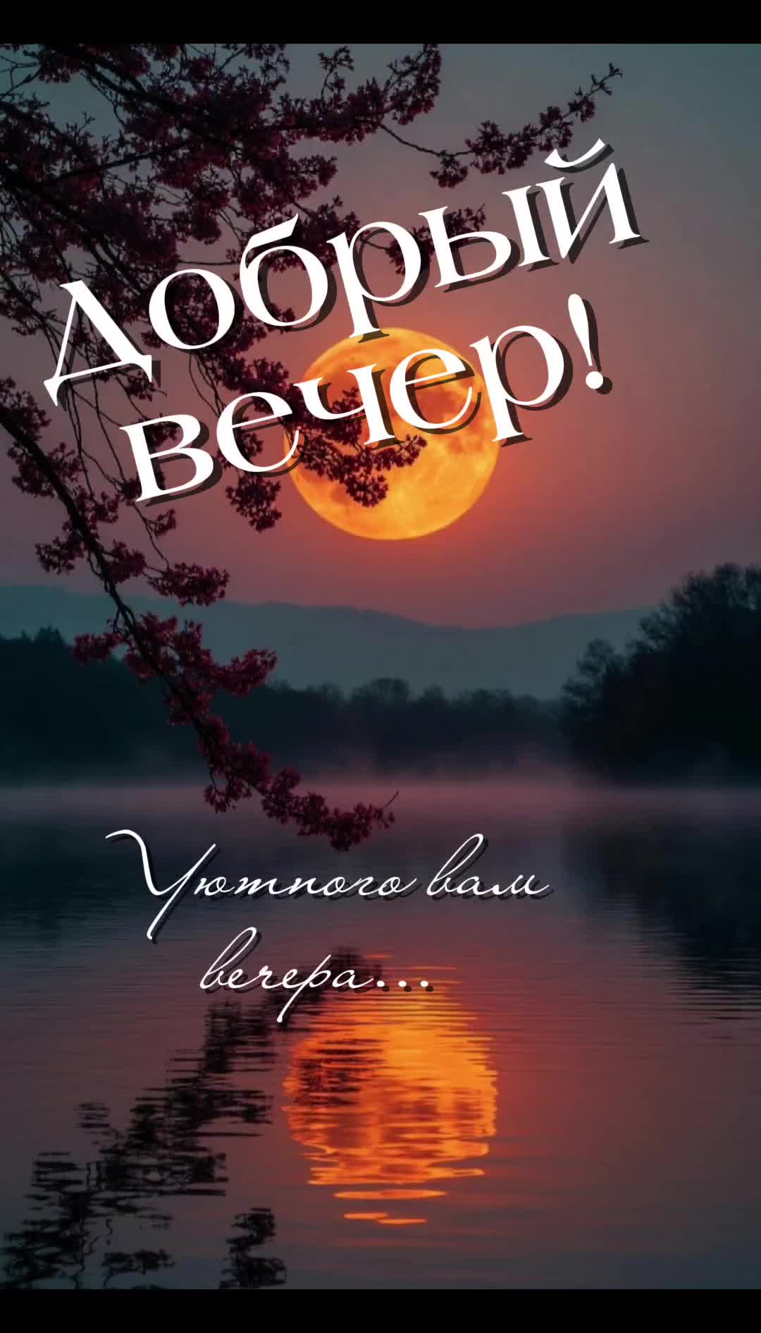 @Цитаты, статусы)