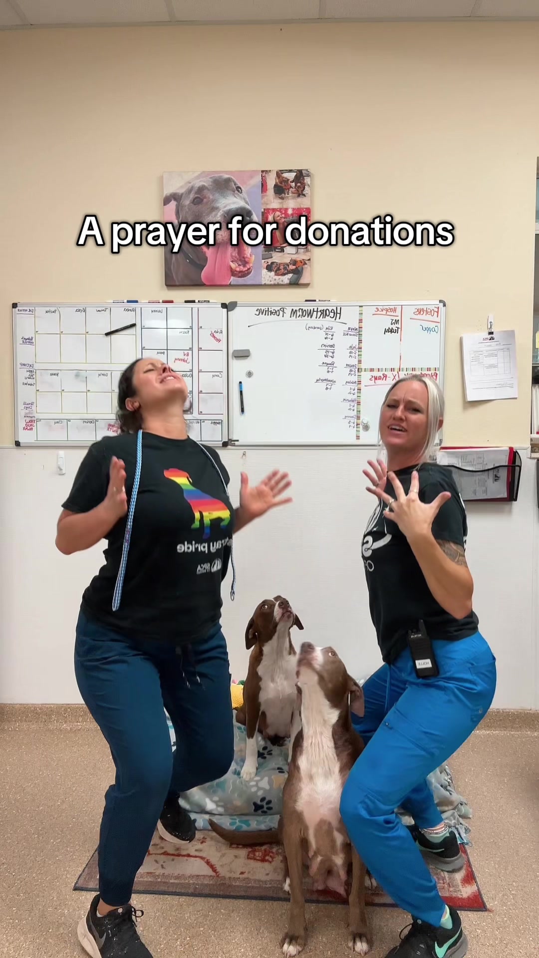 @2vettechs