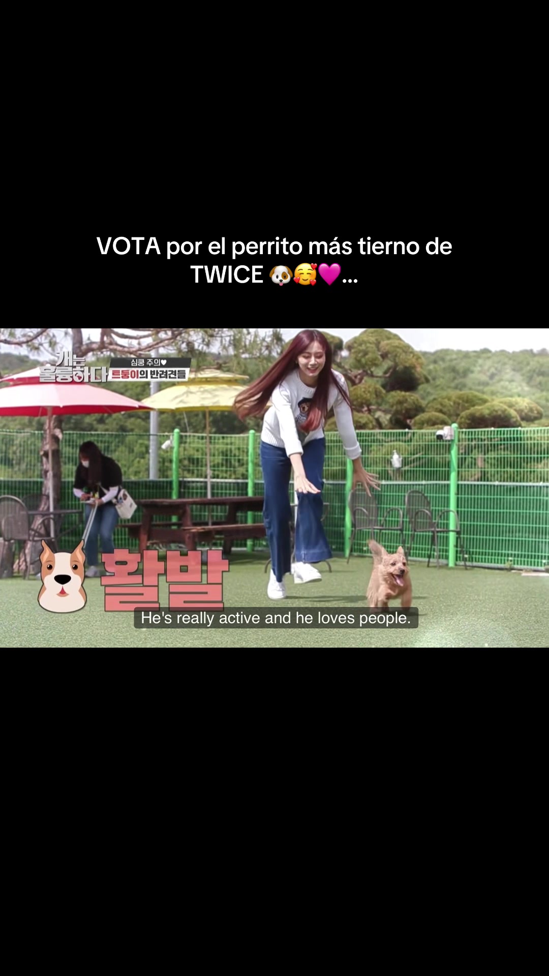 @TwiCEMore🍭