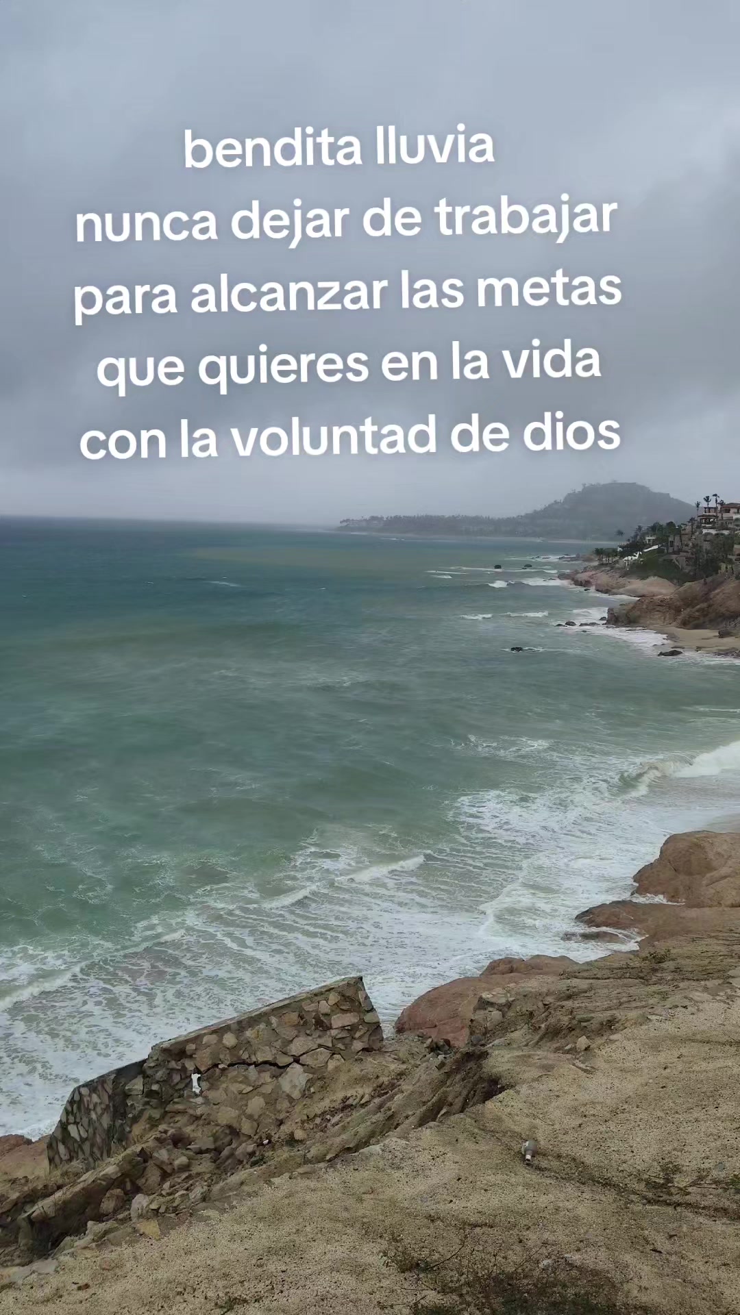 @Armando