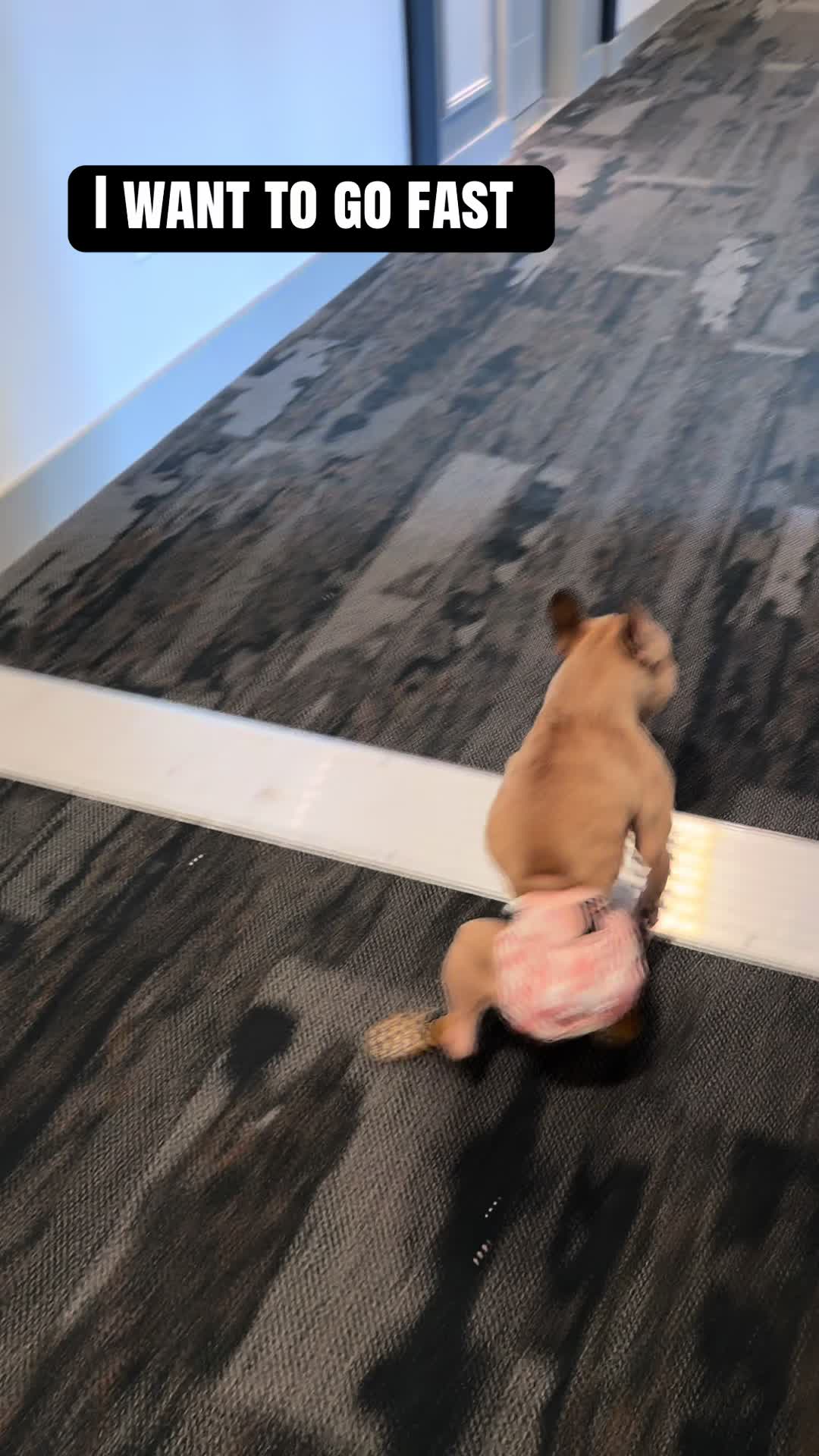 @Punmasterflex93