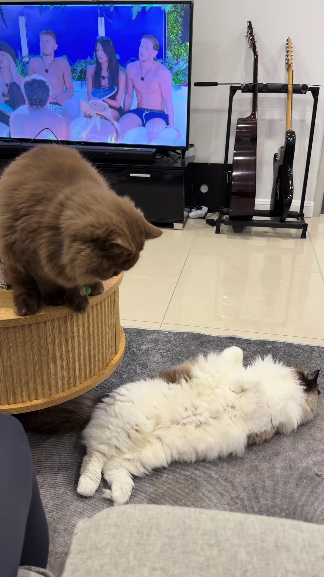 @Jaycille Gako