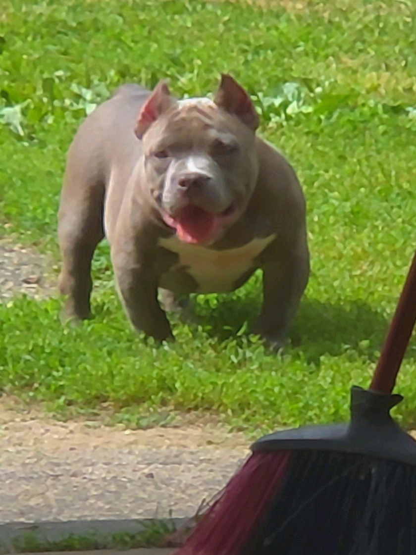 @125 BullyCamp