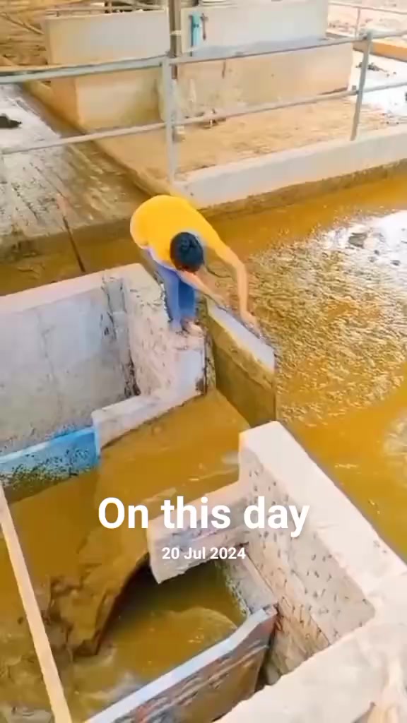 @.عبدالواحد 🤫🦅