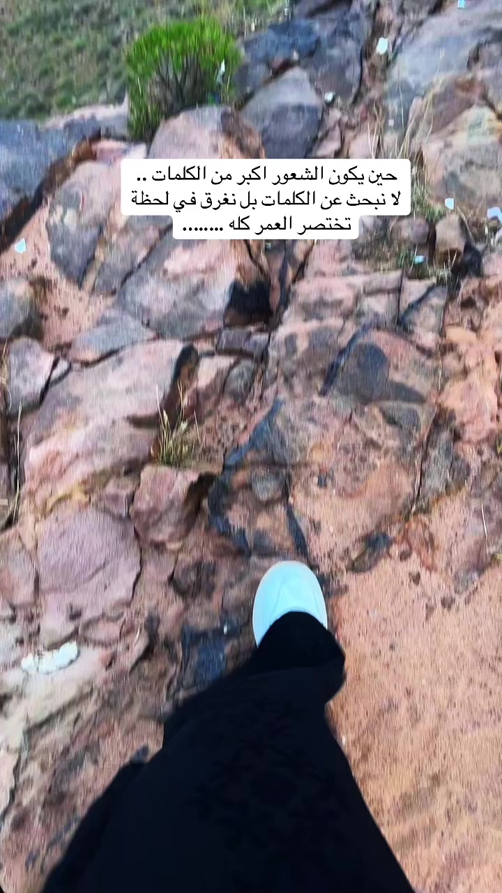 @شوق الشيباني 𓃴♡: