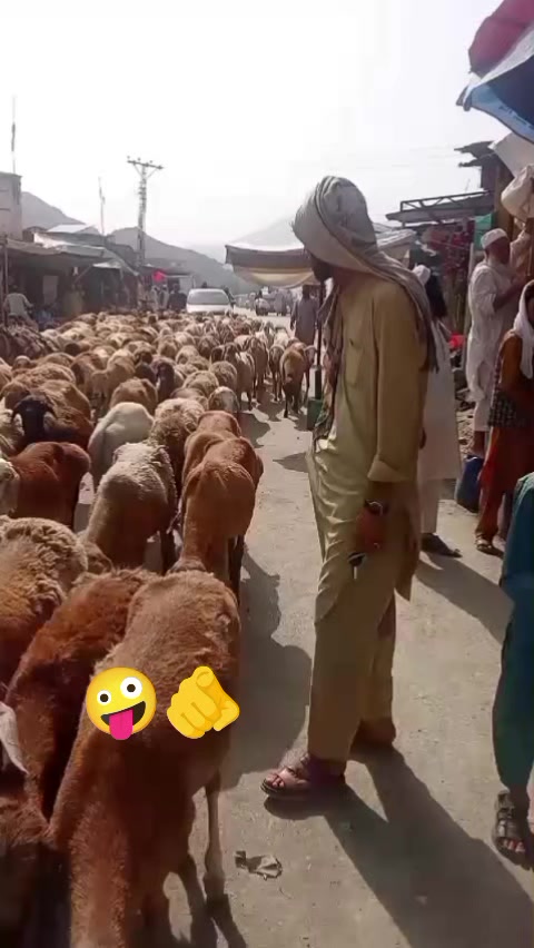 @user65986559334