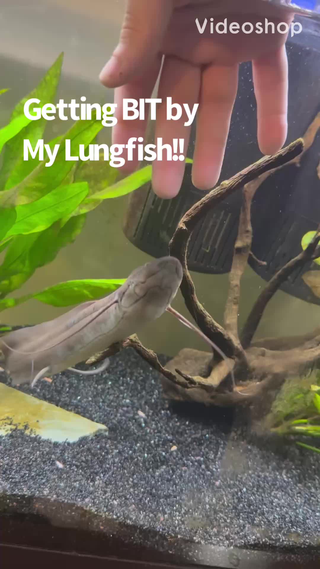 @fishdaddy2002