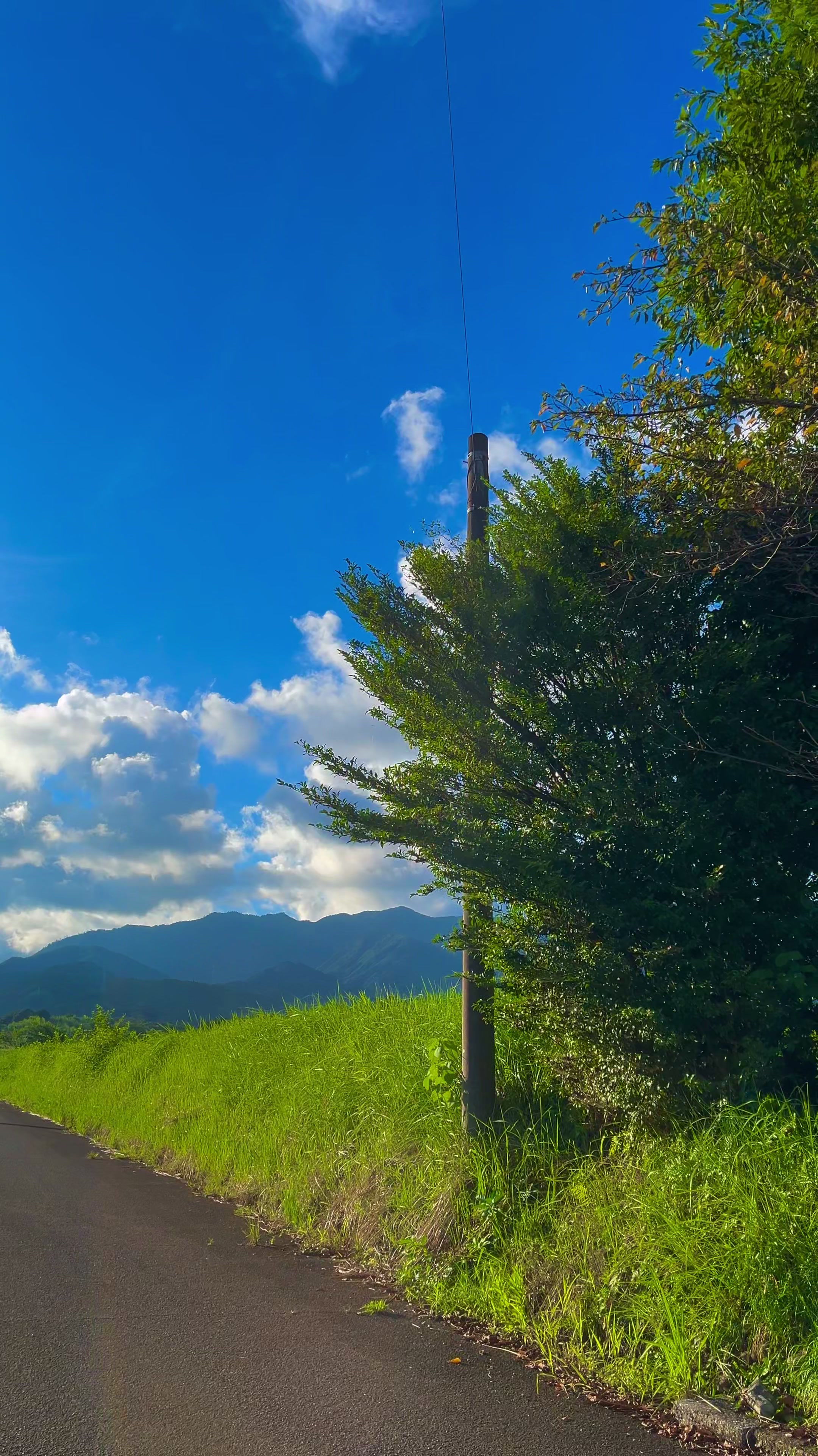 @︎︎夏空