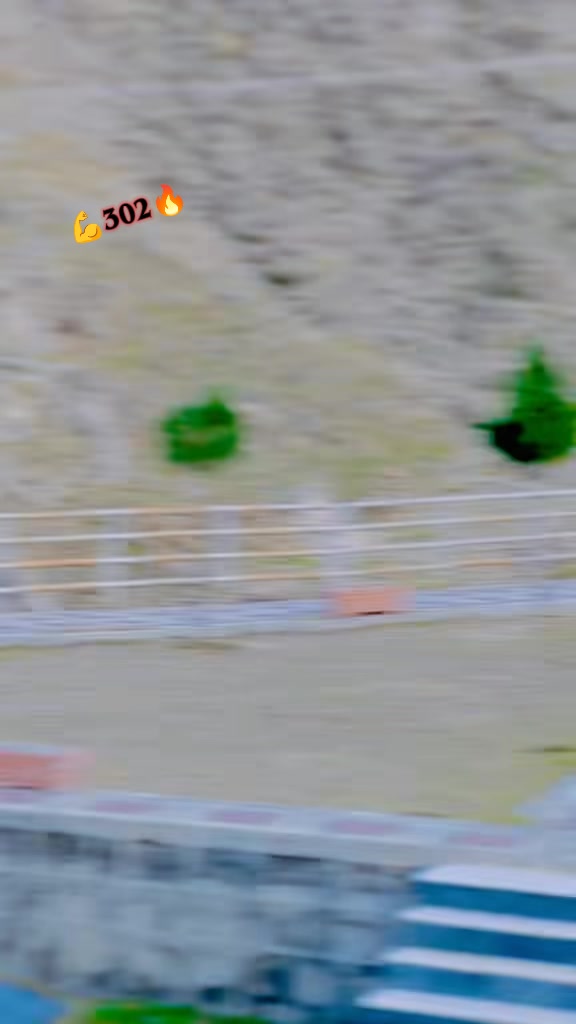 @🇦🇫SK🦅