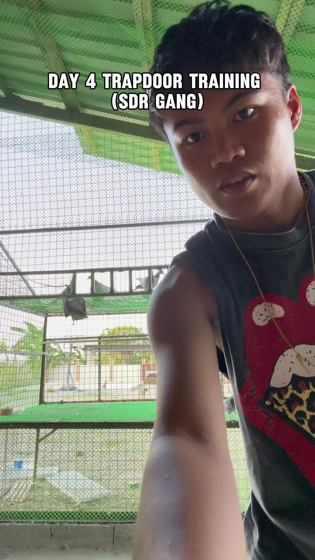 @JustUwa Aviary