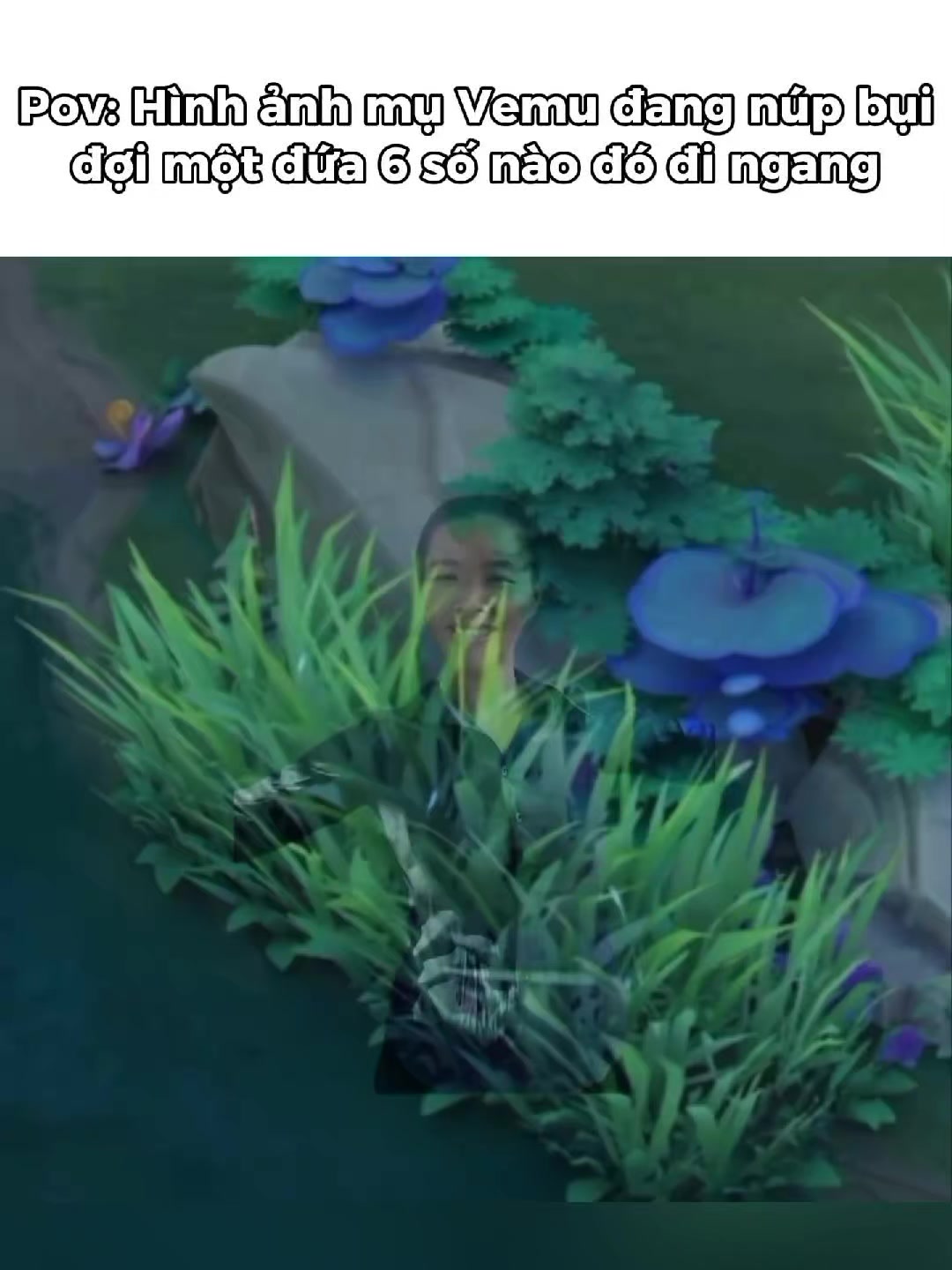 @𝗛𝗶𝗸𝗮𝗿𝘂🦝