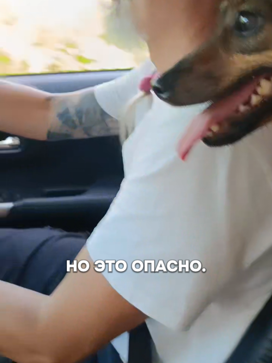 @Олег Попов