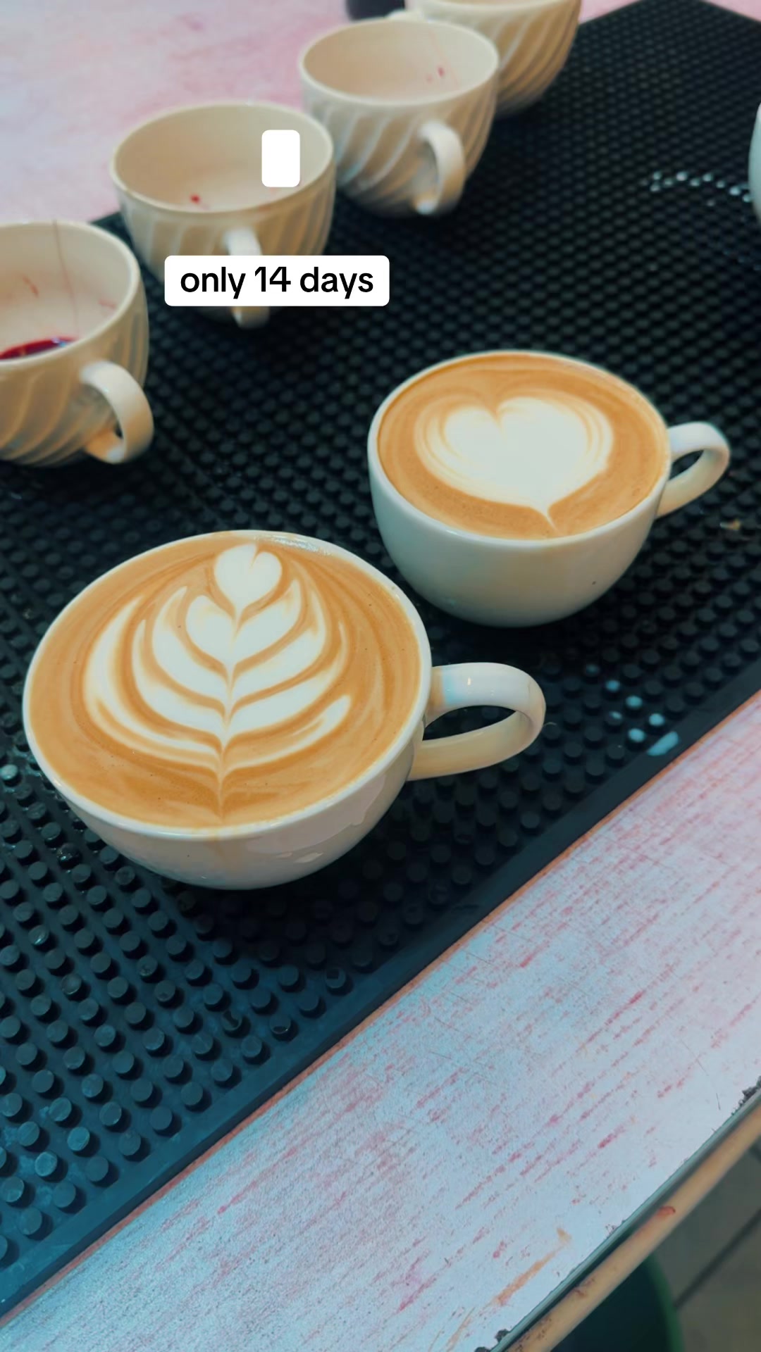@fardowsa