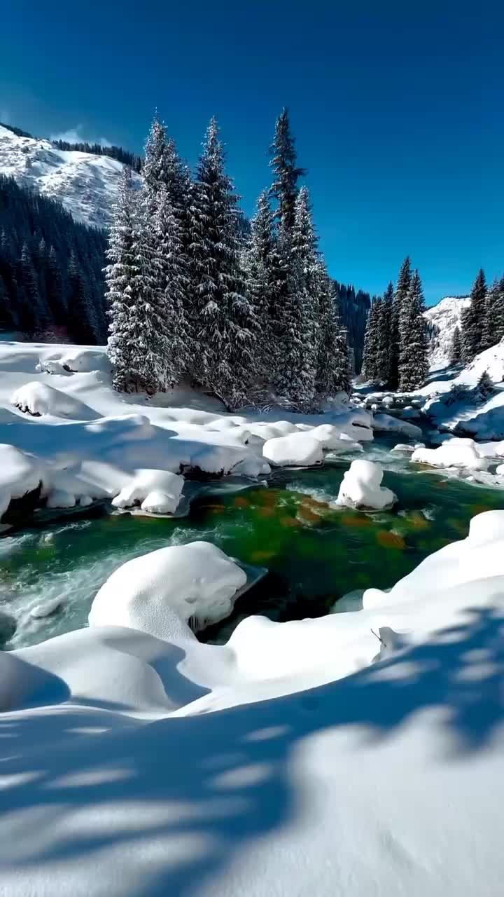@mr iqbal kashmiri