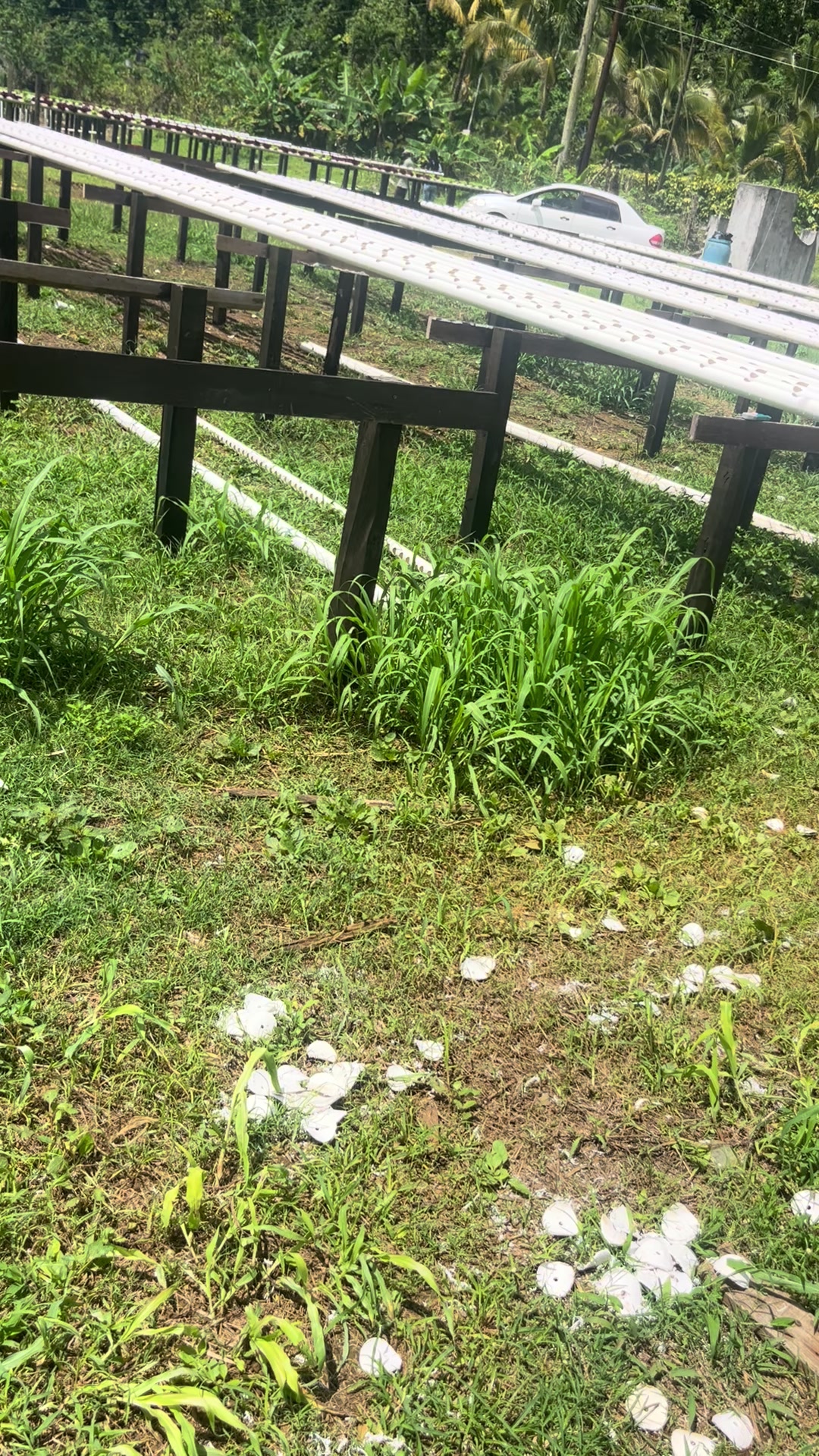 @Velaro Farm