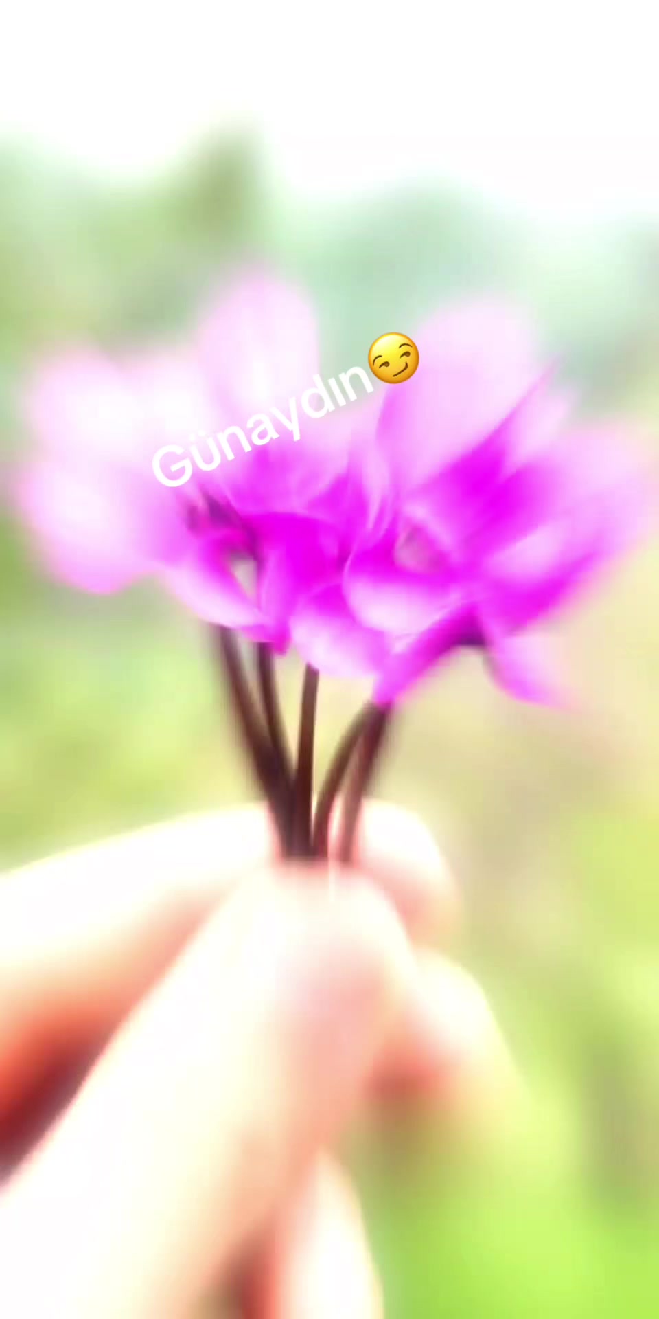 @(((___🌹🧿&hearts;️___))