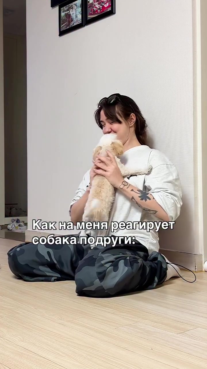 @Тгк: Шкаф сайхо